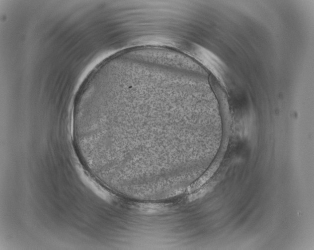 X0000081431132200701261816