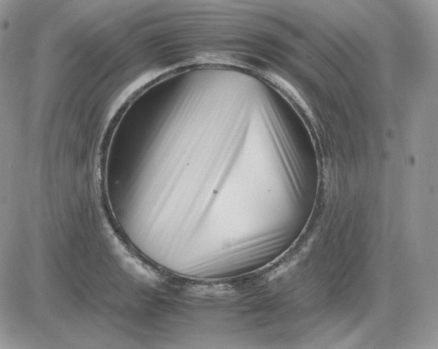 X0000081431133200701261816