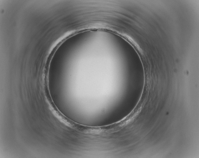 X0000081431134200701261816