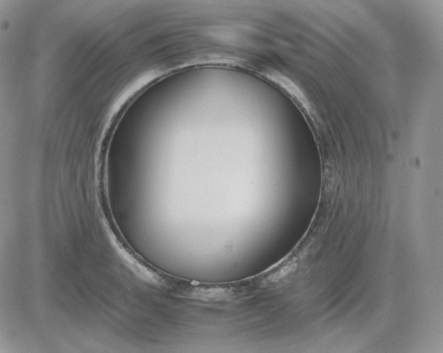 X0000081431135200701261816