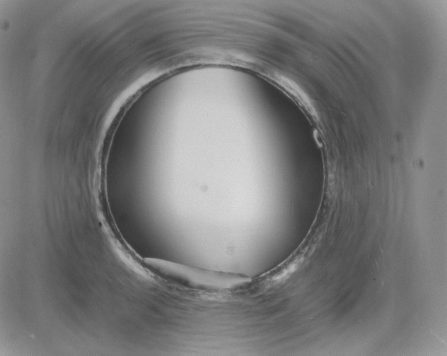 X0000081431136200701261816