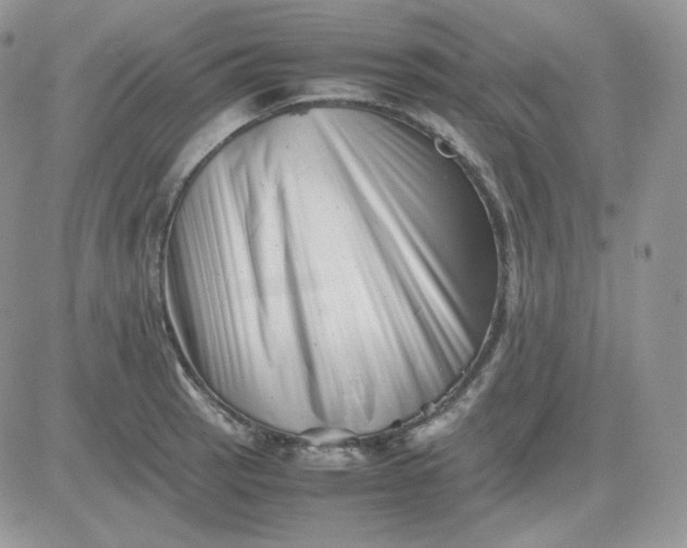 X0000081431137200701261816