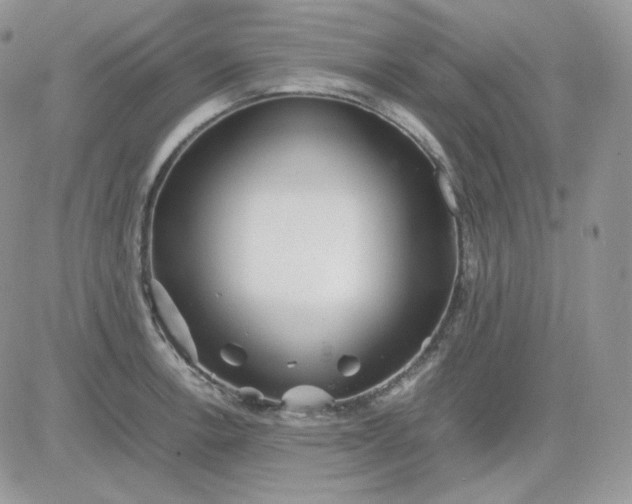 X0000081431138200701261816