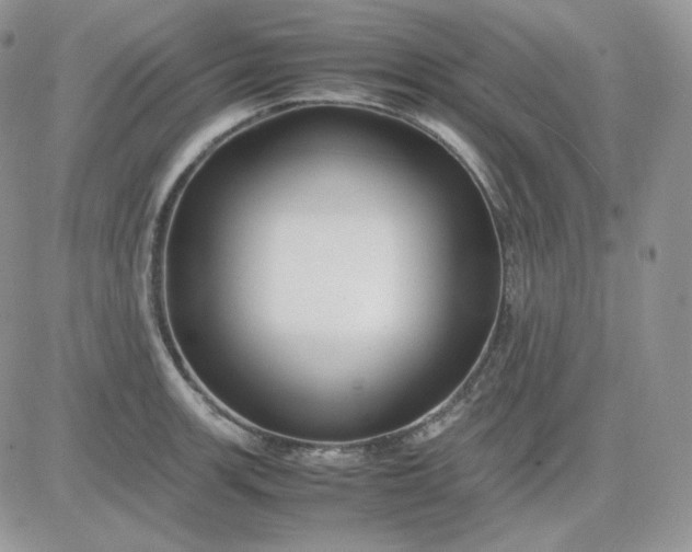 X0000081431139200701261816