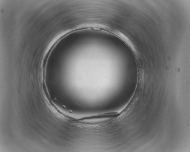 X0000081431140200701261816