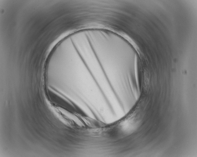 X0000081431142200701261816