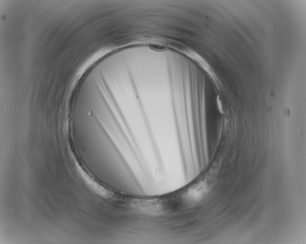 X0000081431143200701261816