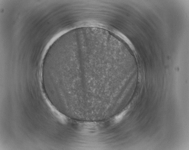 X0000081431144200701261816