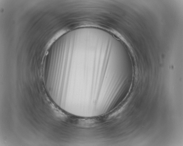 X0000081431145200701261816