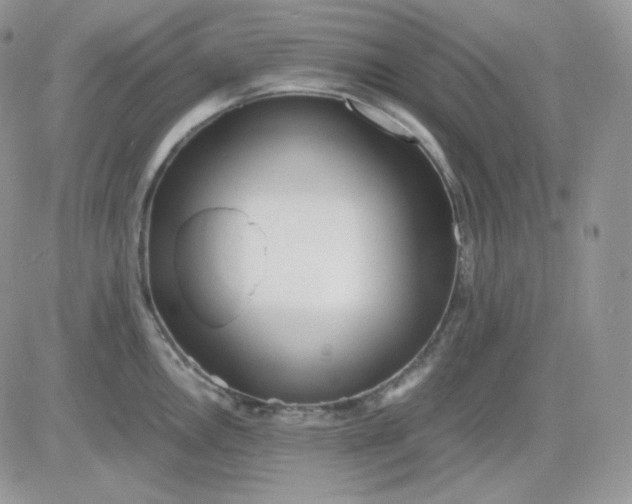 X0000081431146200701261816