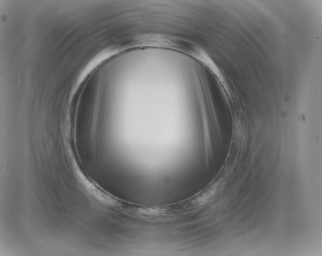 X0000081431147200701261816