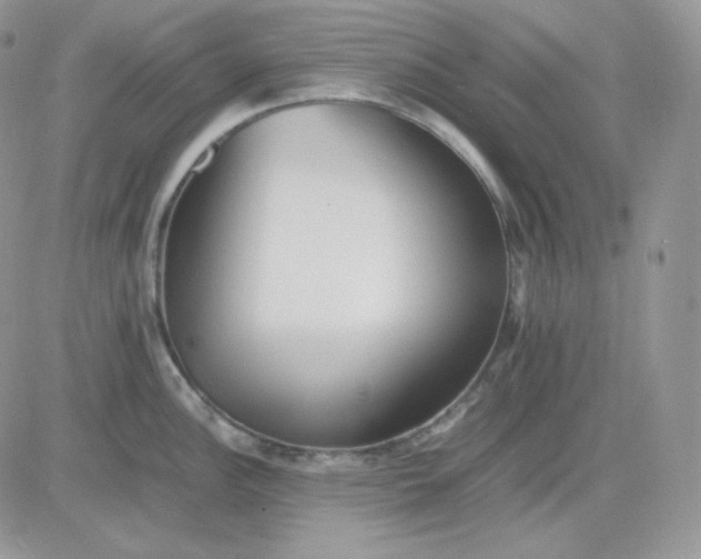 X0000081431148200701261816