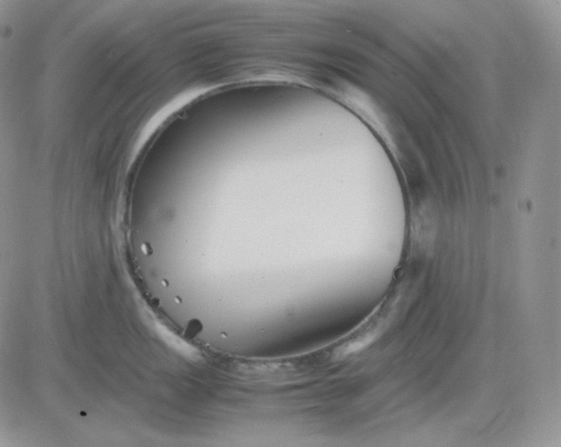 X0000081431149200701261816