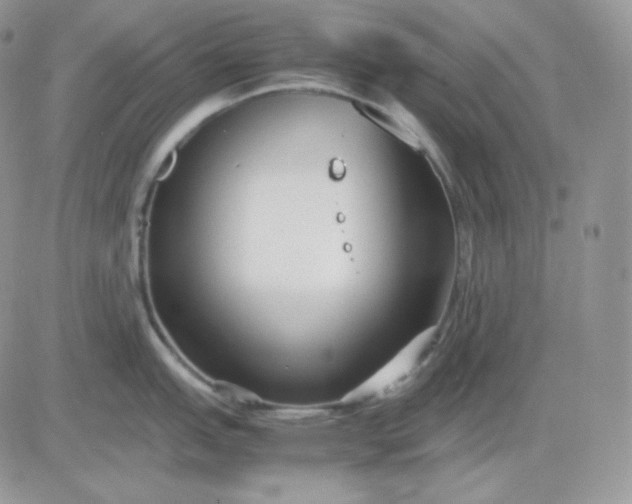 X0000081431151200701261816