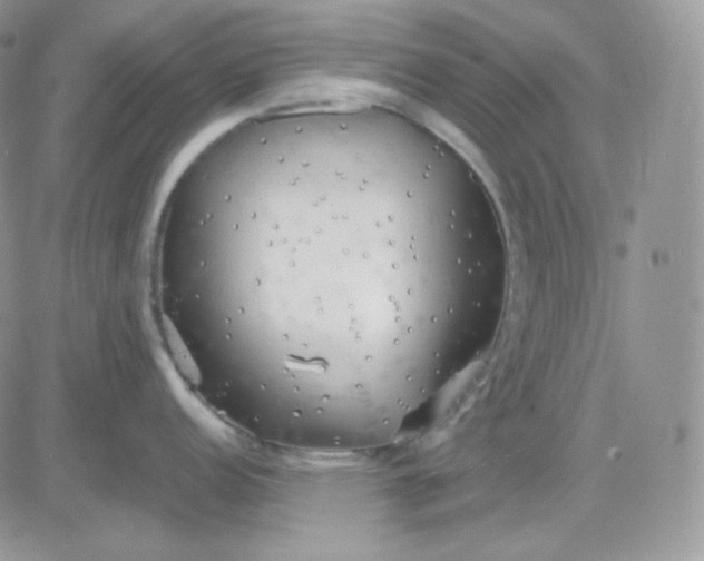 X0000081431152200701261816