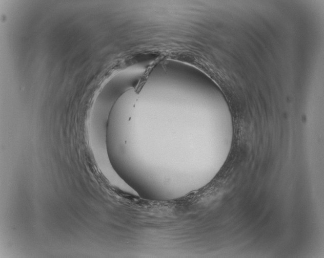 X0000081431153200701261815