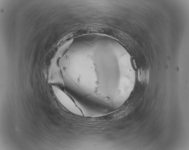 X0000081431155200701261815