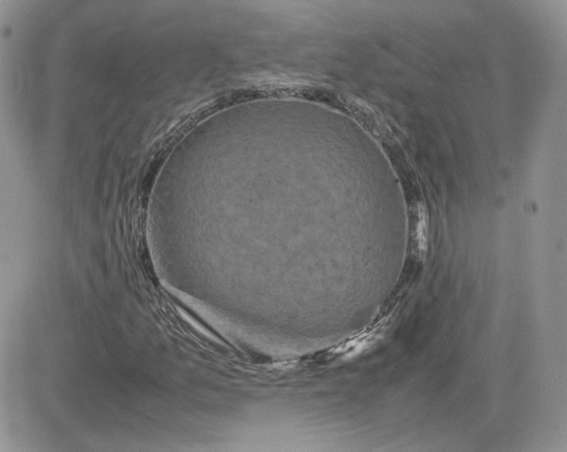 X0000081431157200701261815