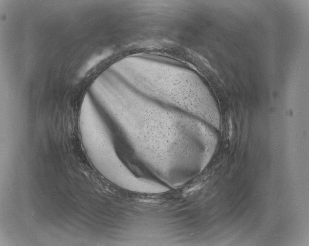 X0000081431158200701261815