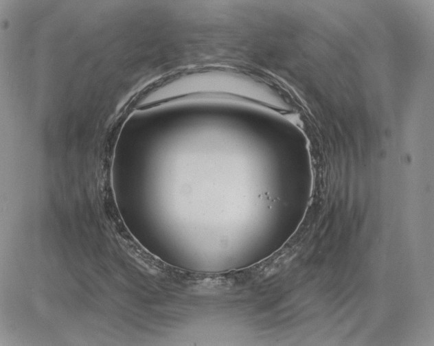 X0000081431160200701261815