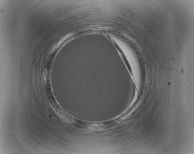 X0000081431161200701261815