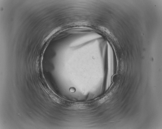 X0000081431162200701261815