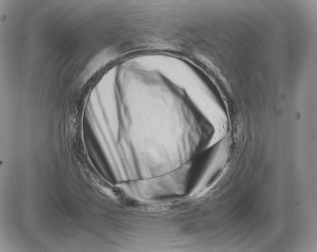 X0000081431163200701261815