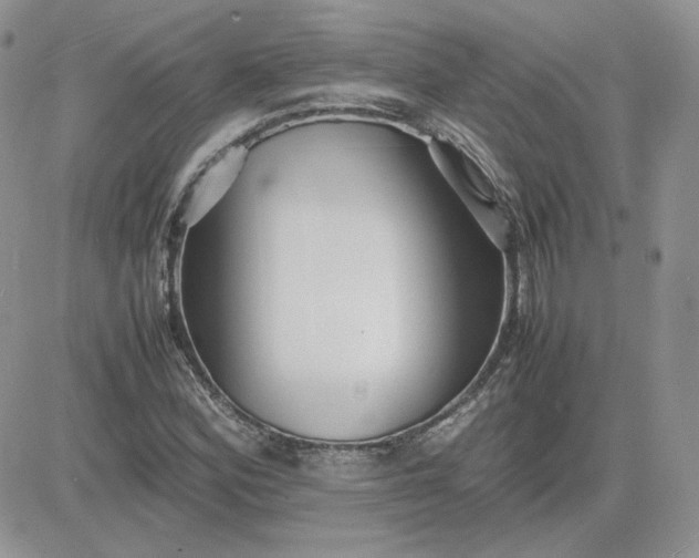 X0000081431164200701261815