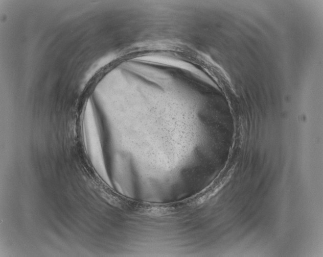 X0000081431166200701261815