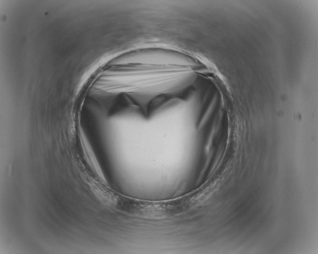 X0000081431167200701261815