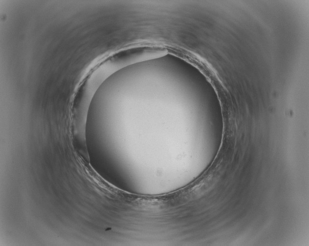 X0000081431168200701261815