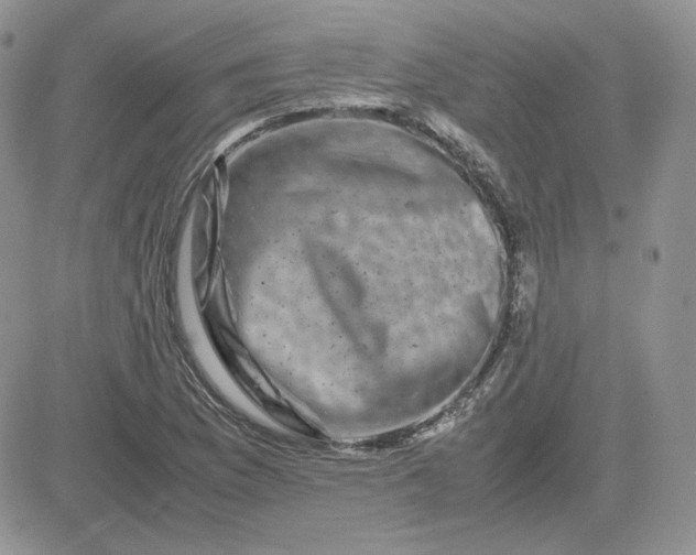 X0000081431169200701261815