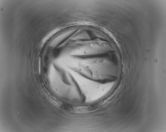 X0000081431171200701261815