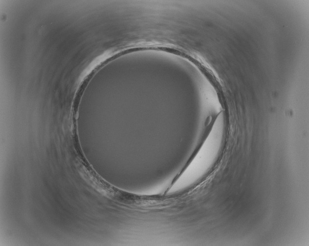 X0000081431173200701261815