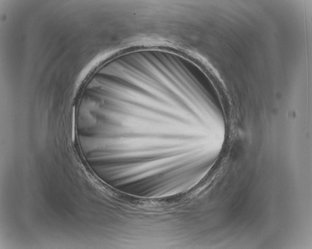 X0000081431175200701261815