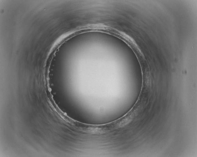 X0000081431176200701261815