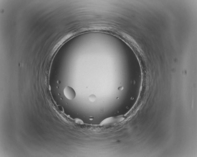 X0000081431177200701261815