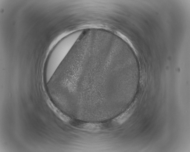 X0000081431179200701261815