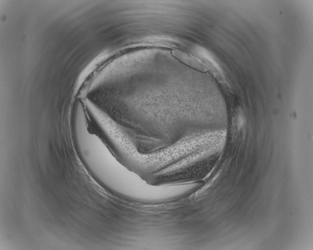 X0000081431180200701261815