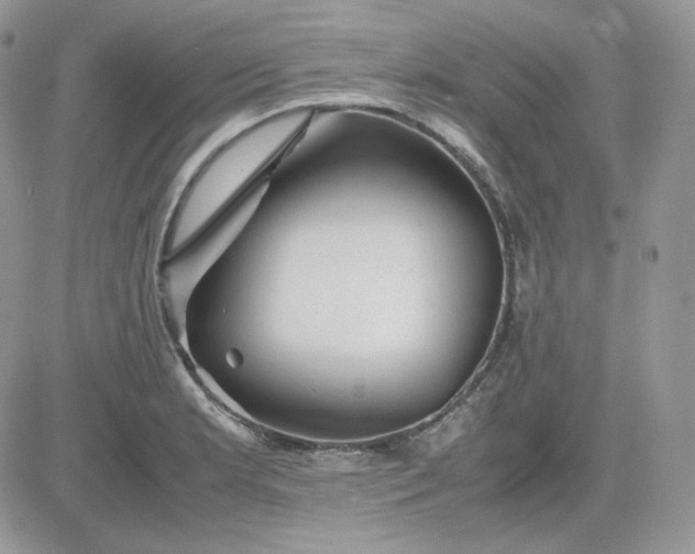 X0000081431181200701261815