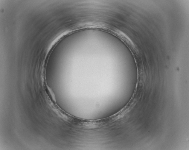 X0000081431182200701261815