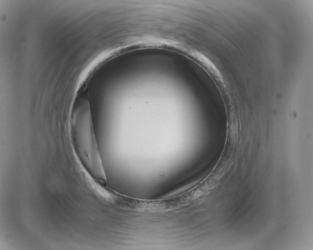 X0000081431183200701261815