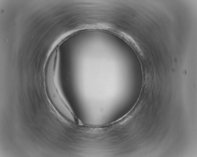 X0000081431184200701261815