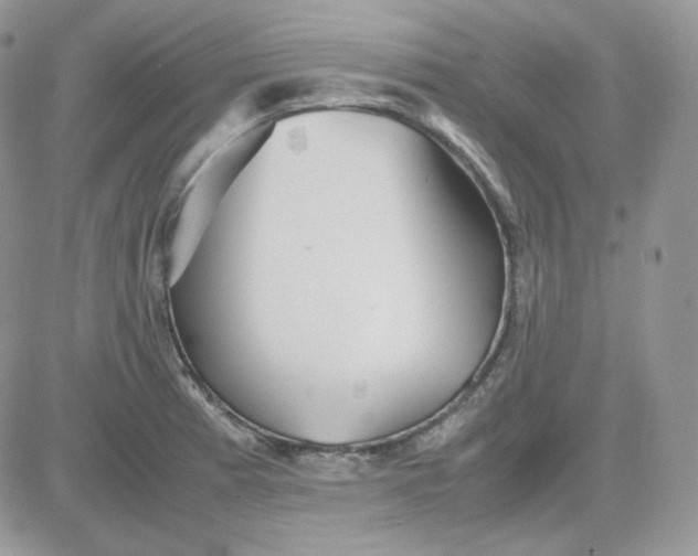 X0000081431185200701261815