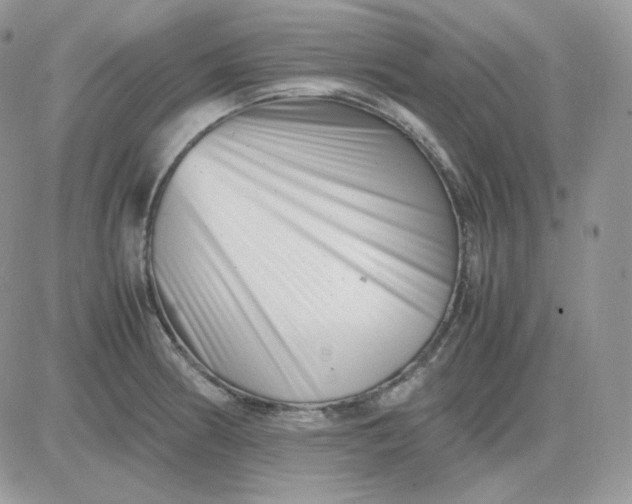 X0000081431186200701261815