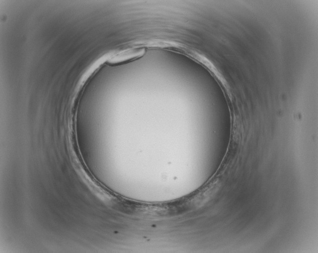 X0000081431187200701261815