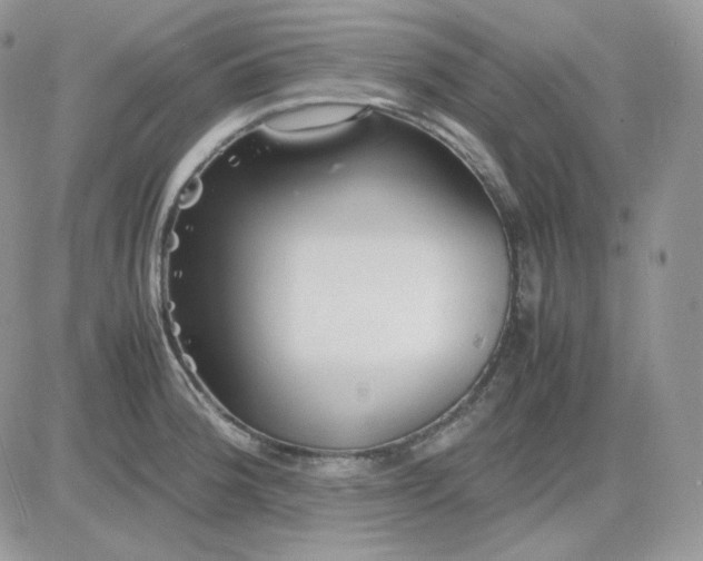 X0000081431188200701261815