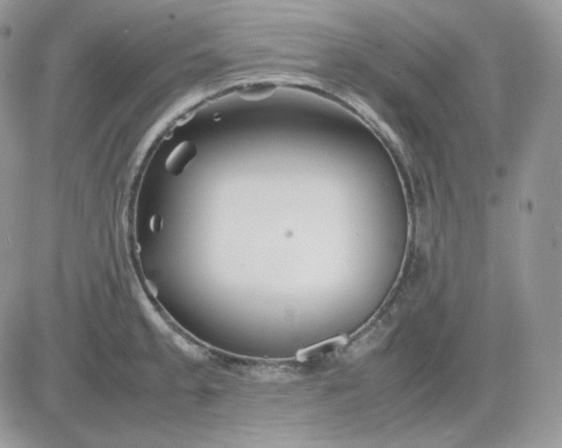 X0000081431189200701261815