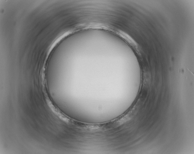 X0000081431190200701261815