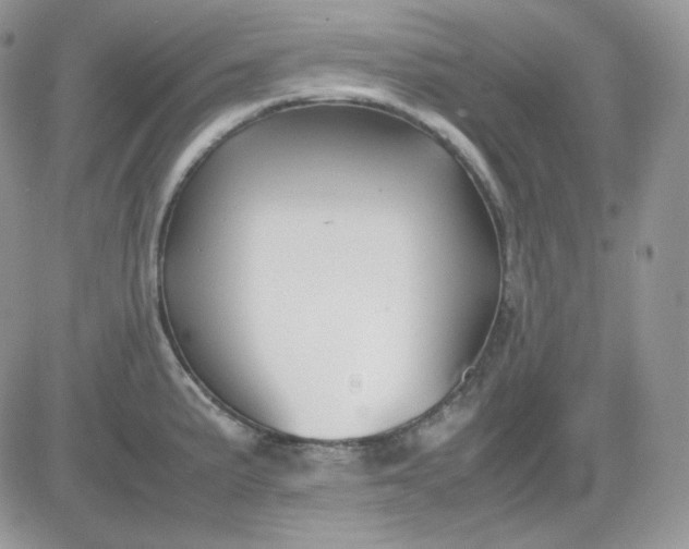 X0000081431191200701261815